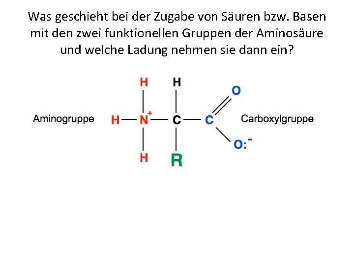 Was geschieht bei der Zugabe von Säuren bzw. Basen mit den zwei funktionellen Gruppen