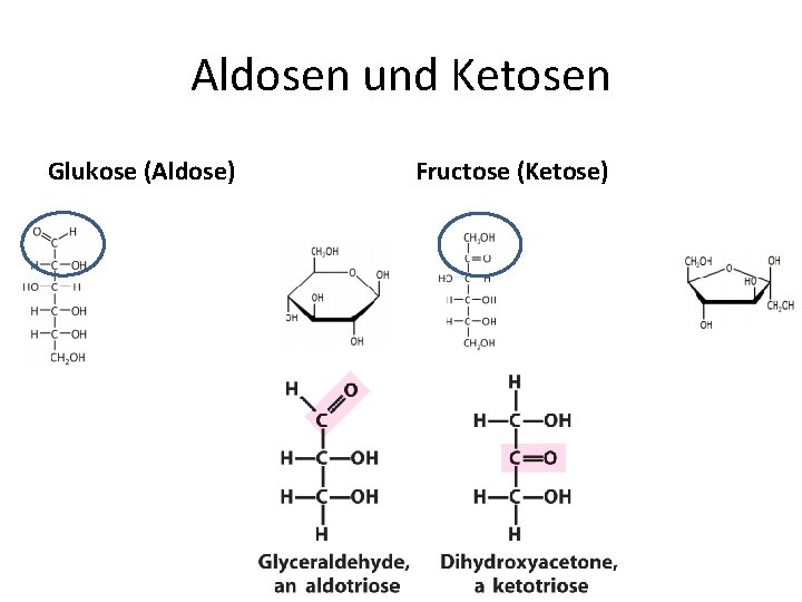 Aldosen und Ketosen Glukose (Aldose) Fructose (Ketose) 