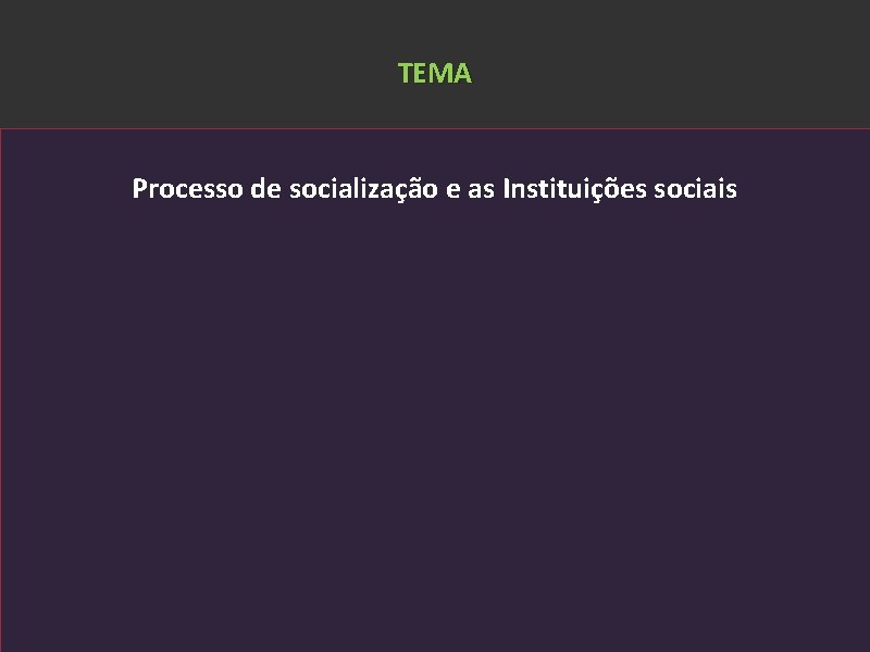 TEMA Processo de socialização e as Instituições sociais Cezar Bueno de Lima. Doutor em