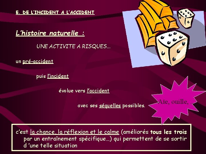 E. DE L’INCIDENT A L’ACCIDENT L’histoire naturelle : UNE ACTIVITE A RISQUES. . .