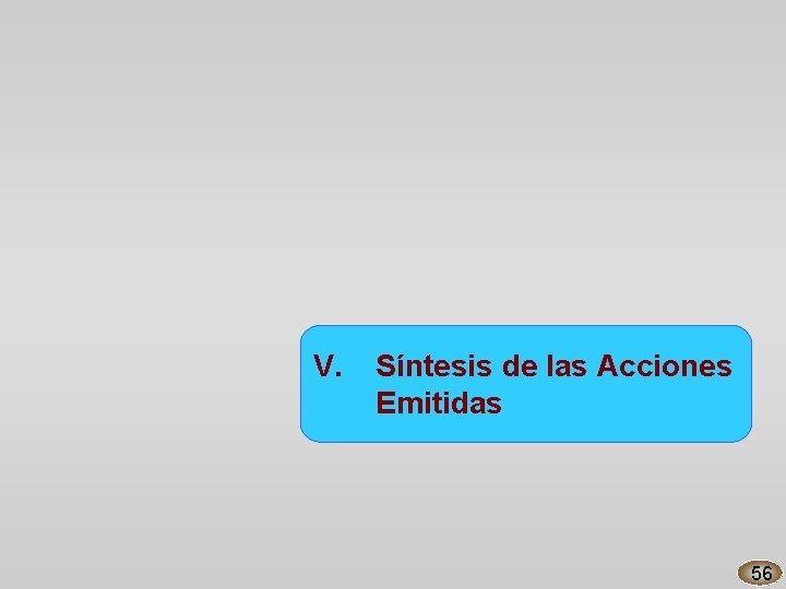 V. Síntesis de las Acciones Emitidas 56 