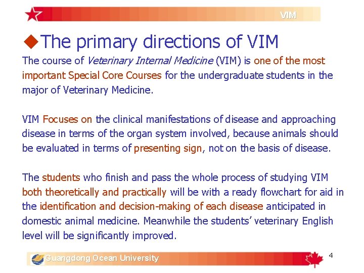 VIM u. The primary directions of VIM The course of Veterinary Internal Medicine (VIM) VIM u. The primary directions of VIM The course of Veterinary Internal Medicine (VIM)