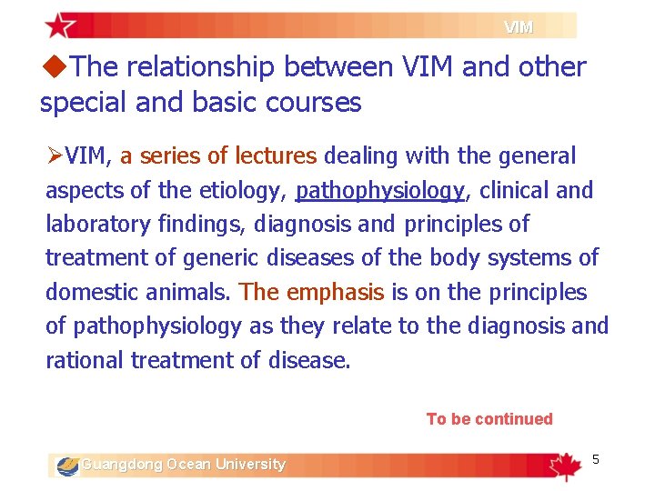 VIM u. The relationship between VIM and other special and basic courses ØVIM, a VIM u. The relationship between VIM and other special and basic courses ØVIM, a