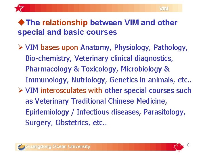 VIM u. The relationship between VIM and other special and basic courses Ø VIM VIM u. The relationship between VIM and other special and basic courses Ø VIM