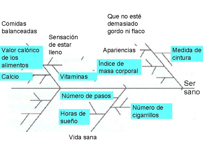 Comidas balanceadas Valor calórico de los alimentos Calcio Sensación de estar lleno Vitaminas Que