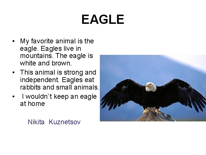 EAGLE • My favorite animal is the eagle. Eagles live in mountains. The eagle