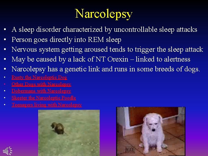 Narcolepsy • • • A sleep disorder characterized by uncontrollable sleep attacks Person goes