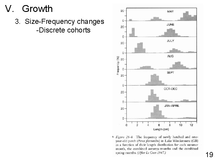 V. Growth 3. Size-Frequency changes -Discrete cohorts 19 