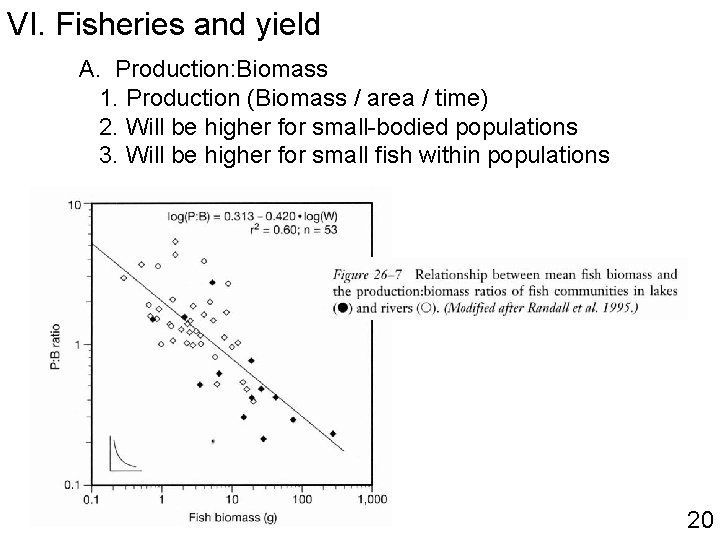 VI. Fisheries and yield A. Production: Biomass 1. Production (Biomass / area / time)