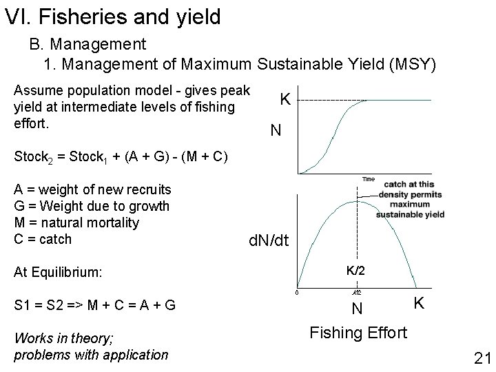 VI. Fisheries and yield B. Management 1. Management of Maximum Sustainable Yield (MSY) Assume