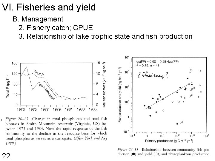 VI. Fisheries and yield B. Management 2. Fishery catch; CPUE 3. Relationship of lake