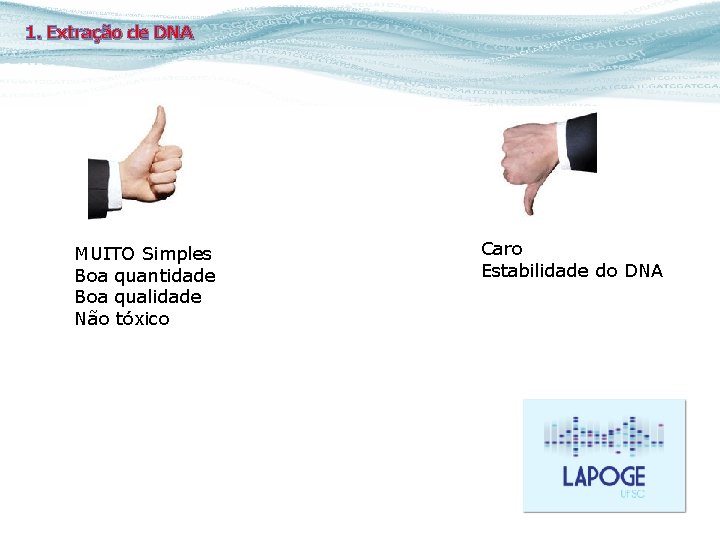 1. Extração de DNA MUITO Simples Boa quantidade Boa qualidade Não tóxico Caro Estabilidade