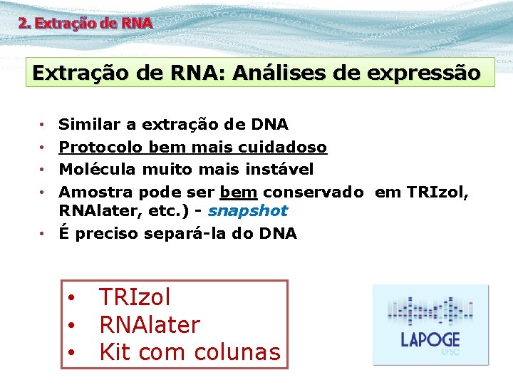 2. Extração de RNA: Análises de expressão Similar a extração de DNA Protocolo bem