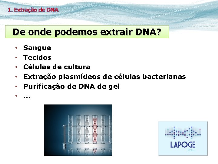 1. Extração de DNA De onde podemos extrair DNA? • • • Sangue Tecidos