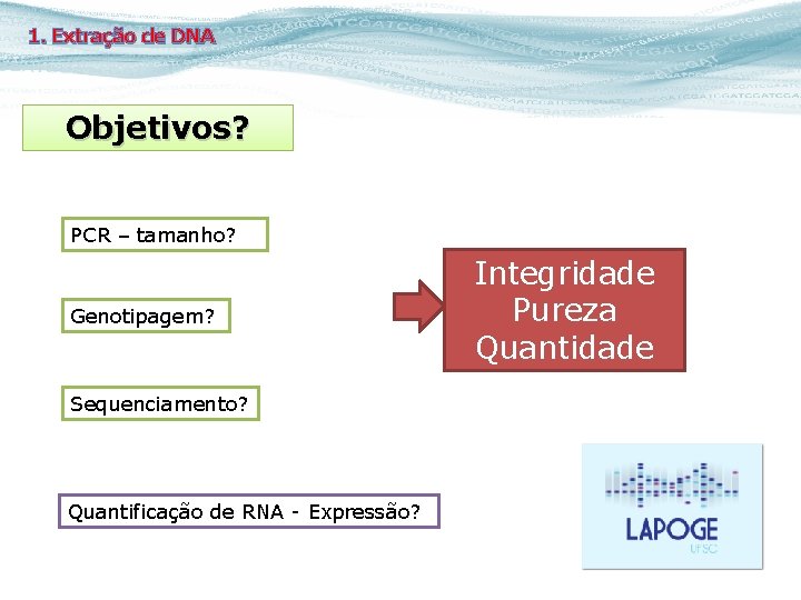 1. Extração de DNA Objetivos? Objetivos PCR – tamanho? Genotipagem? Sequenciamento? Quantificação de RNA