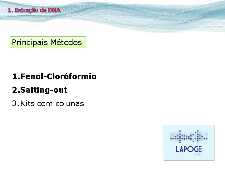 1. Extração de DNA Principais Métodos 1. Fenol-Cloróformio 2. Salting-out 3. Kits com colunas