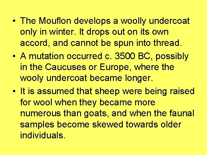 • The Mouflon develops a woolly undercoat only in winter. It drops out