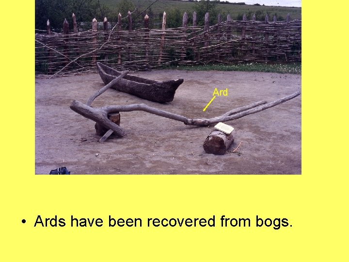 Ard • Ards have been recovered from bogs. 