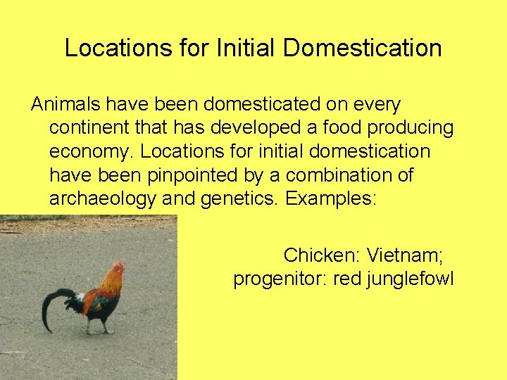 Locations for Initial Domestication Animals have been domesticated on every continent that has developed