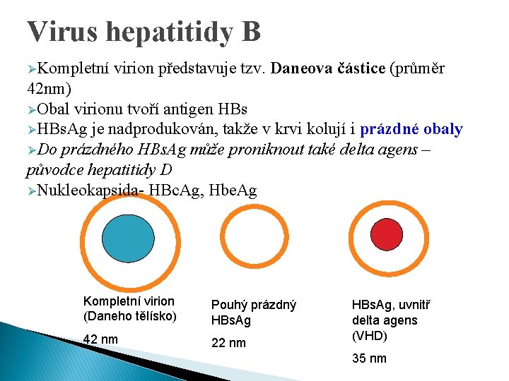 Virus hepatitidy B ØKompletní virion představuje tzv. Daneova částice (průměr 42 nm) ØObal virionu