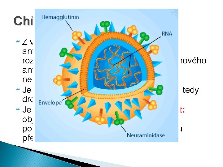 Chřipka typu A Z vlastností viru chřipky je nejdůležitější antigenní proměnlivost. U viru chřipky