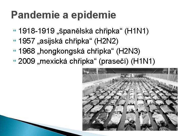 Pandemie a epidemie 1918 -1919 „španělská chřipka“ (H 1 N 1) 1957 „asijská chřipka“