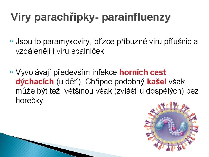 Viry parachřipky- parainfluenzy Jsou to paramyxoviry, blízce příbuzné viru příušnic a vzdáleněji i viru