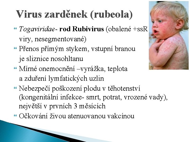 Virus zarděnek (rubeola) Togaviridae- rod Rubivirus (obalené +ss. RNA viry, nesegmentované) Přenos přímým stykem,