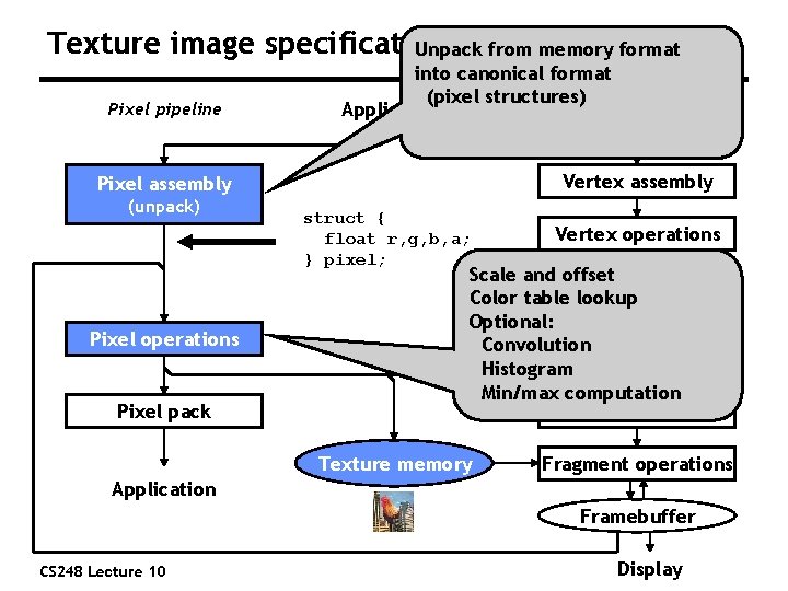 Texture image specification Unpack from memory format Pixel pipeline into canonical format (pixel structures)