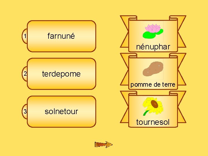 8 fl 1 farnuné nénuphar 2 terdepome pomme de terre 3 solnetournesol 