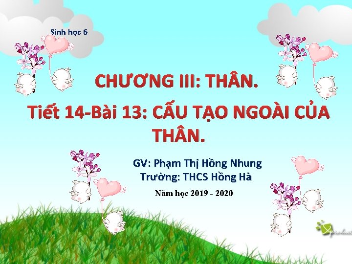 Sinh học 6 CHƯƠNG III: TH N. Tiết 14 -Bài 13: CẤU TẠO NGOÀI