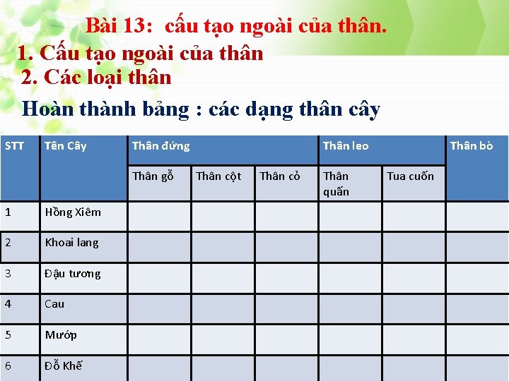 Bài 13: cấu tạo ngoài của thân. 1. Cấu tạo ngoài của thân 2.