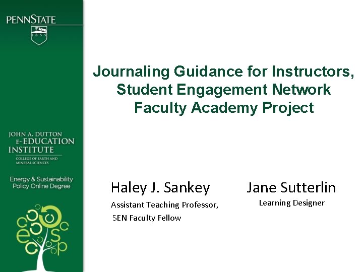 Journaling Guidance for Instructors, Student Engagement Network Faculty Academy Project Haley J. Sankey Assistant