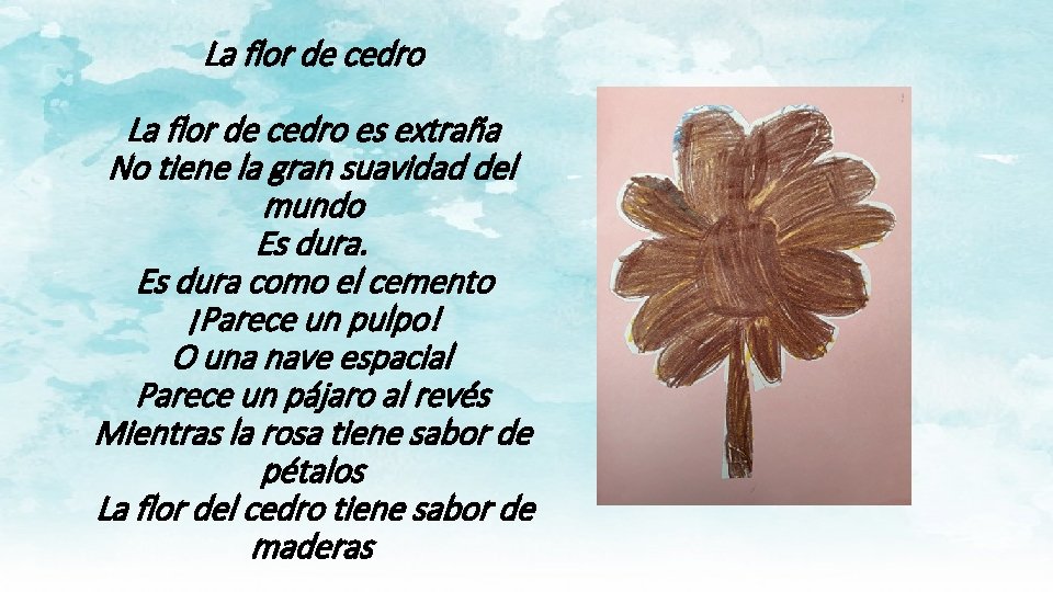 La flor de cedro es extraña No tiene la gran suavidad del mundo Es