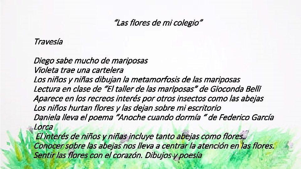  “Las flores de mi colegio” Travesía Diego sabe mucho de mariposas Violeta trae