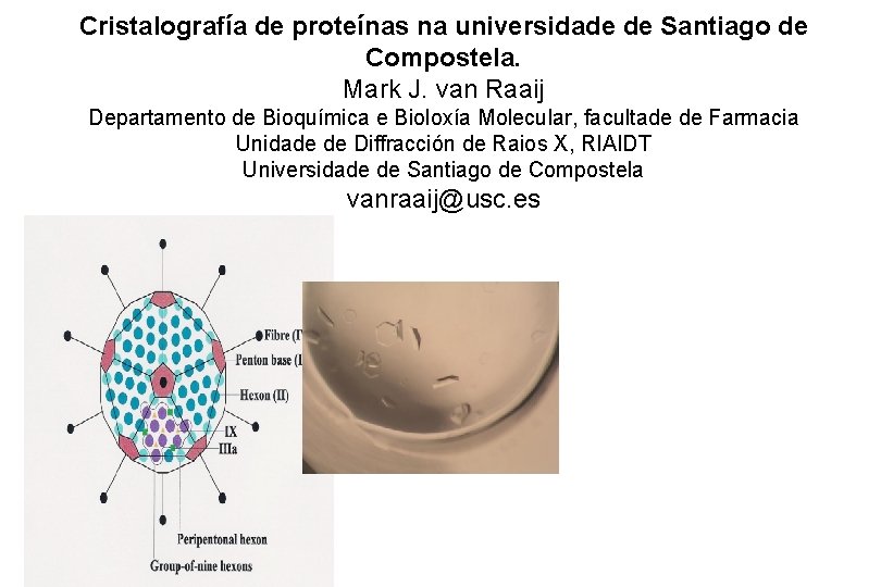 Cristalografía de proteínas na universidade de Santiago de Compostela. Mark J. van Raaij Departamento Cristalografía de proteínas na universidade de Santiago de Compostela. Mark J. van Raaij Departamento