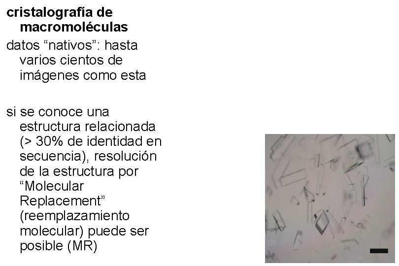 cristalografía de macromoléculas datos “nativos”: hasta varios cientos de imágenes como esta si se cristalografía de macromoléculas datos “nativos”: hasta varios cientos de imágenes como esta si se