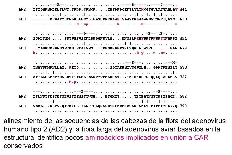 AD 2 LFH . . . . ---A---. . . ----B-----. . ----C----. . AD 2 LFH . . . . ---A---. . . ----B-----. . ----C----. .