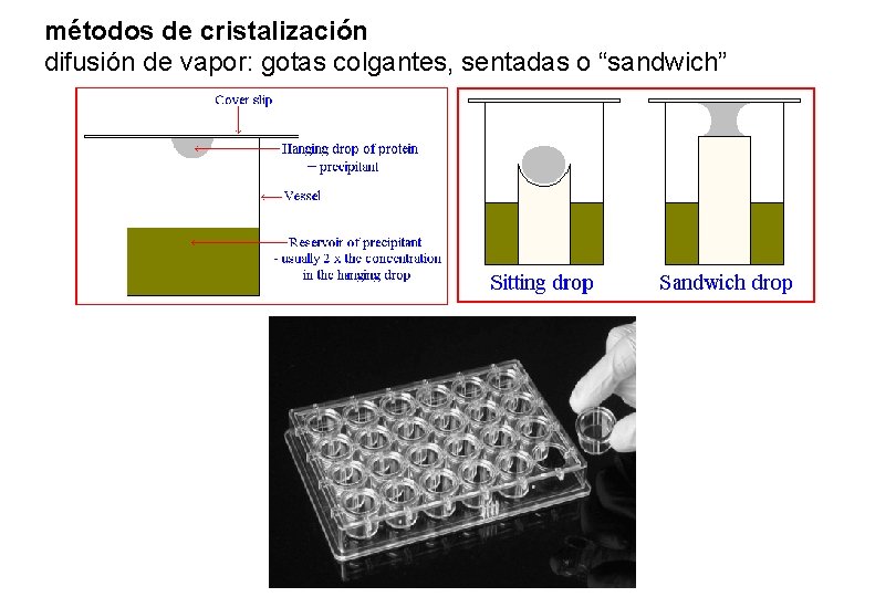 métodos de cristalización difusión de vapor: gotas colgantes, sentadas o “sandwich” métodos de cristalización difusión de vapor: gotas colgantes, sentadas o “sandwich”