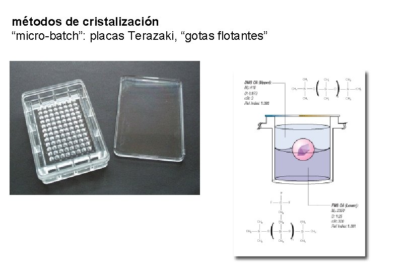 métodos de cristalización “micro-batch”: placas Terazaki, “gotas flotantes” métodos de cristalización “micro-batch”: placas Terazaki, “gotas flotantes”