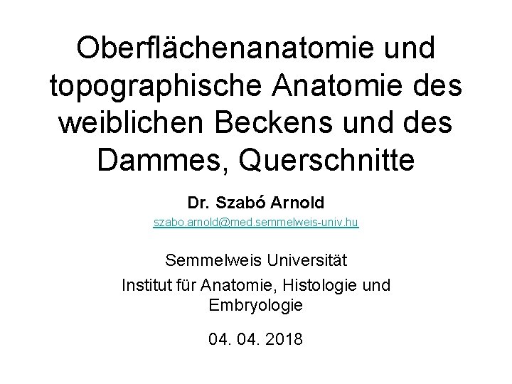 Oberflächenanatomie und topographische Anatomie des weiblichen Beckens und des Dammes, Querschnitte Dr. Szabó Arnold