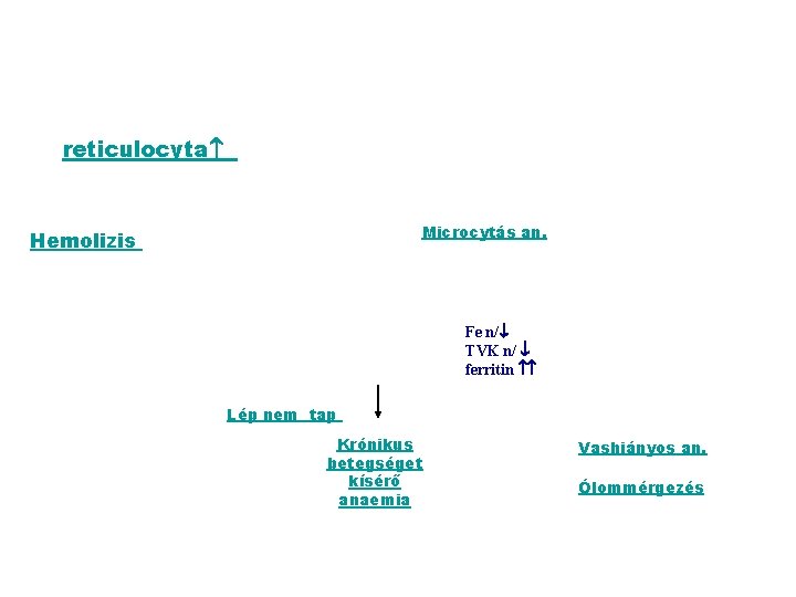 reticulocyta Microcytás an. E Hemolizis Fe n/ TVK n/ ferritin Lép nem tap Krónikus