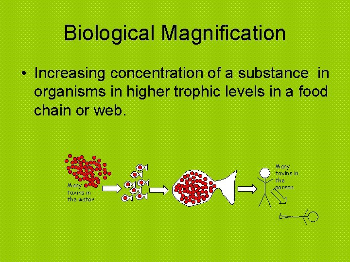 Biological Magnification • Increasing concentration of a substance in organisms in higher trophic levels