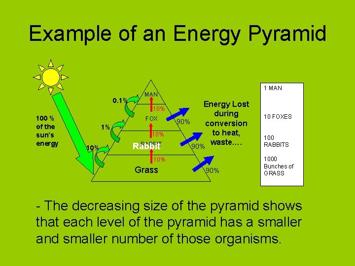 Example of an Energy Pyramid 0. 1% 1 MAN 10% 100 % of the