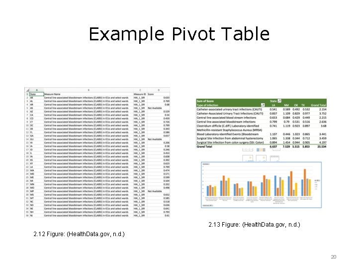 Example Pivot Table 2. 13 Figure: (Health. Data. gov, n. d. ) 2. 12