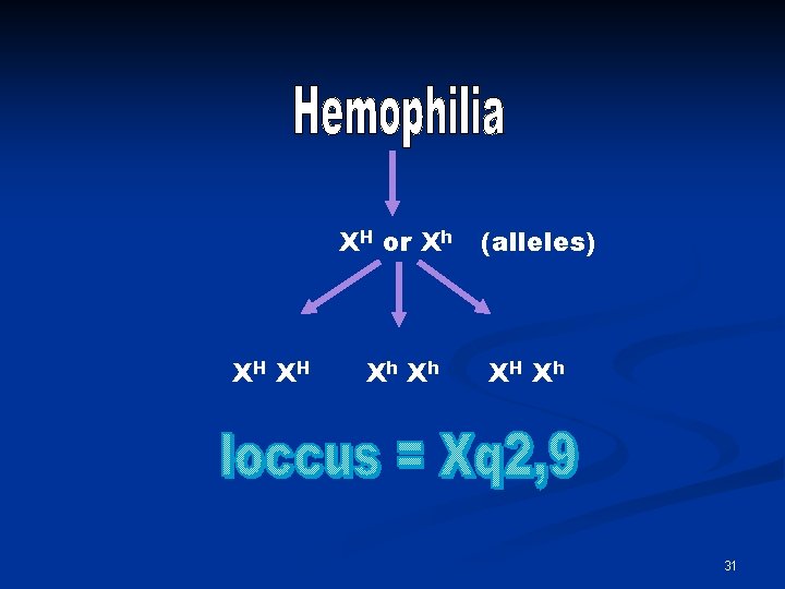 XH or Xh XH X H Xh X h (alleles) XH X h 31