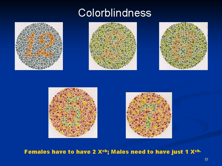 Colorblindness Females have to have 2 Xcb; Males need to have just 1 Xcb.