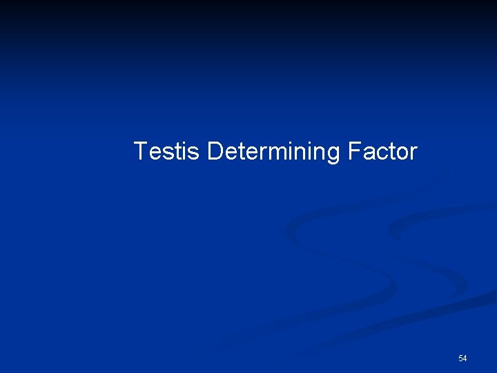 Testis Determining Factor 54 