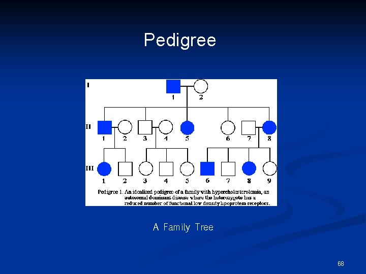 Pedigree A Family Tree 68 