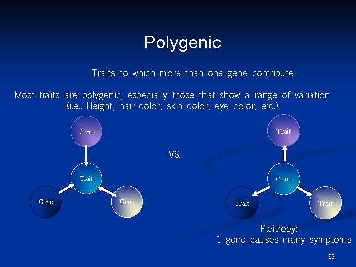 Polygenic Traits to which more than one gene contribute Most traits are polygenic, especially